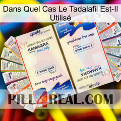 Dans Quel Cas Le Tadalafil Est-Il Utilisé kamagra1